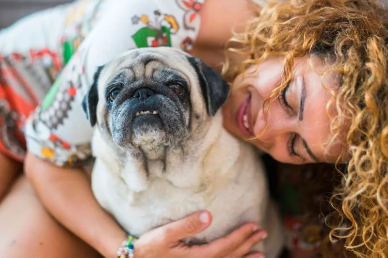 How My Does It Cost To Own A Dog?
