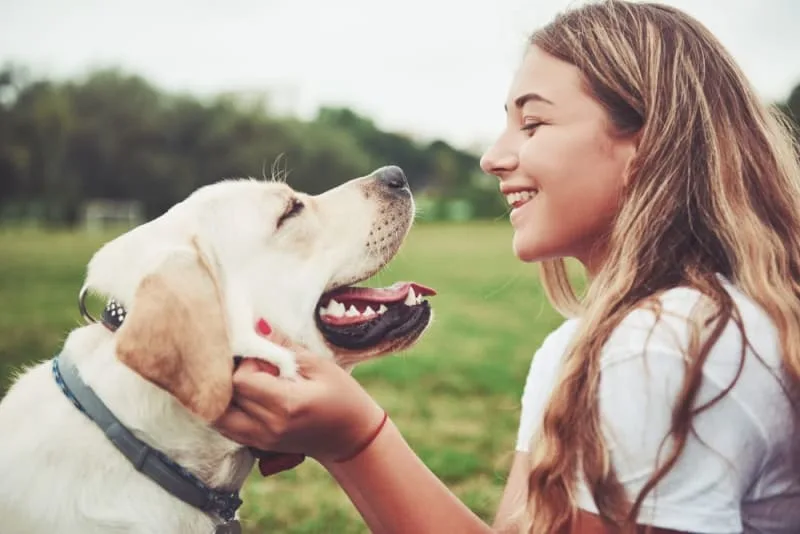 Costs of Owning a Dog