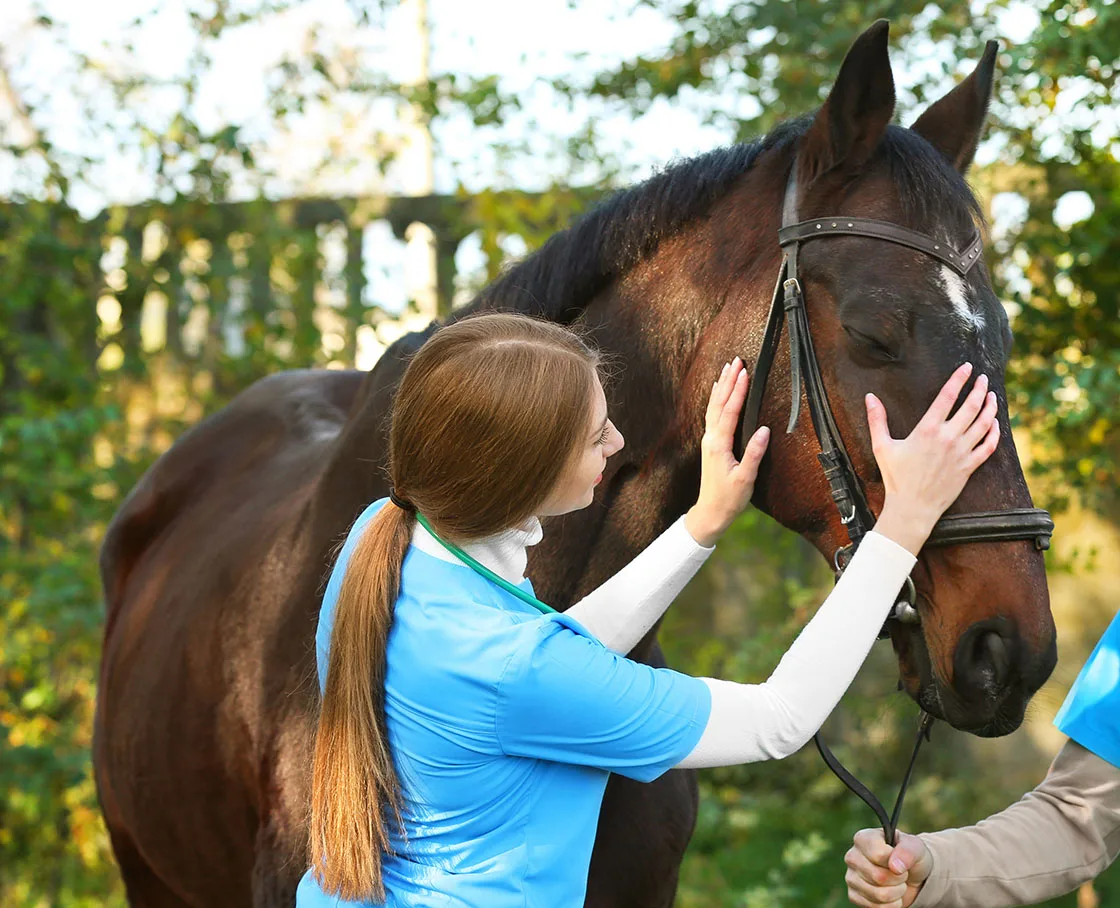 woman tech with hands on bridle