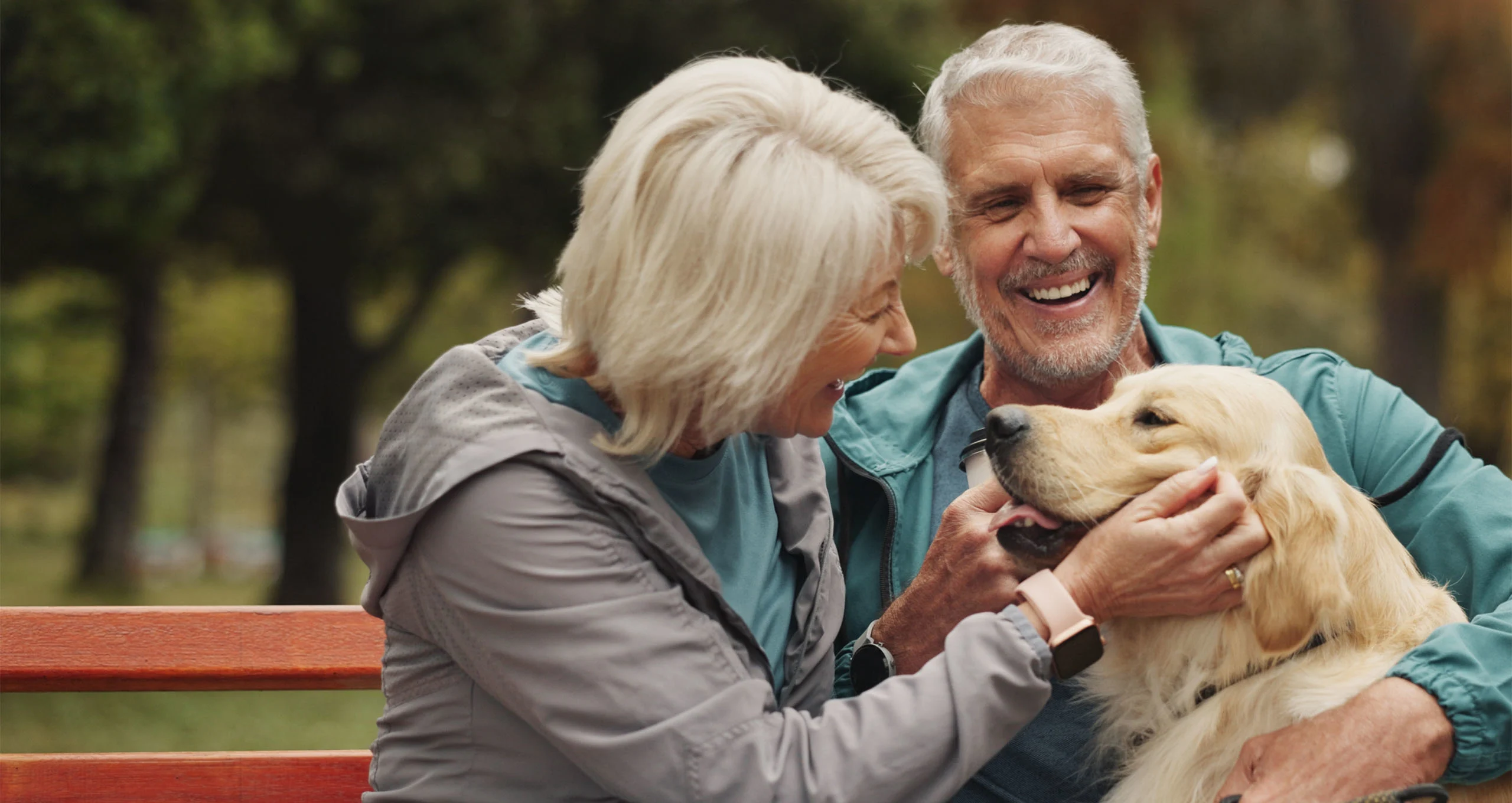 h matching old couple with golden retriever on park bendh