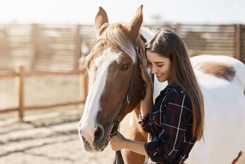Leptospirosis in Horses