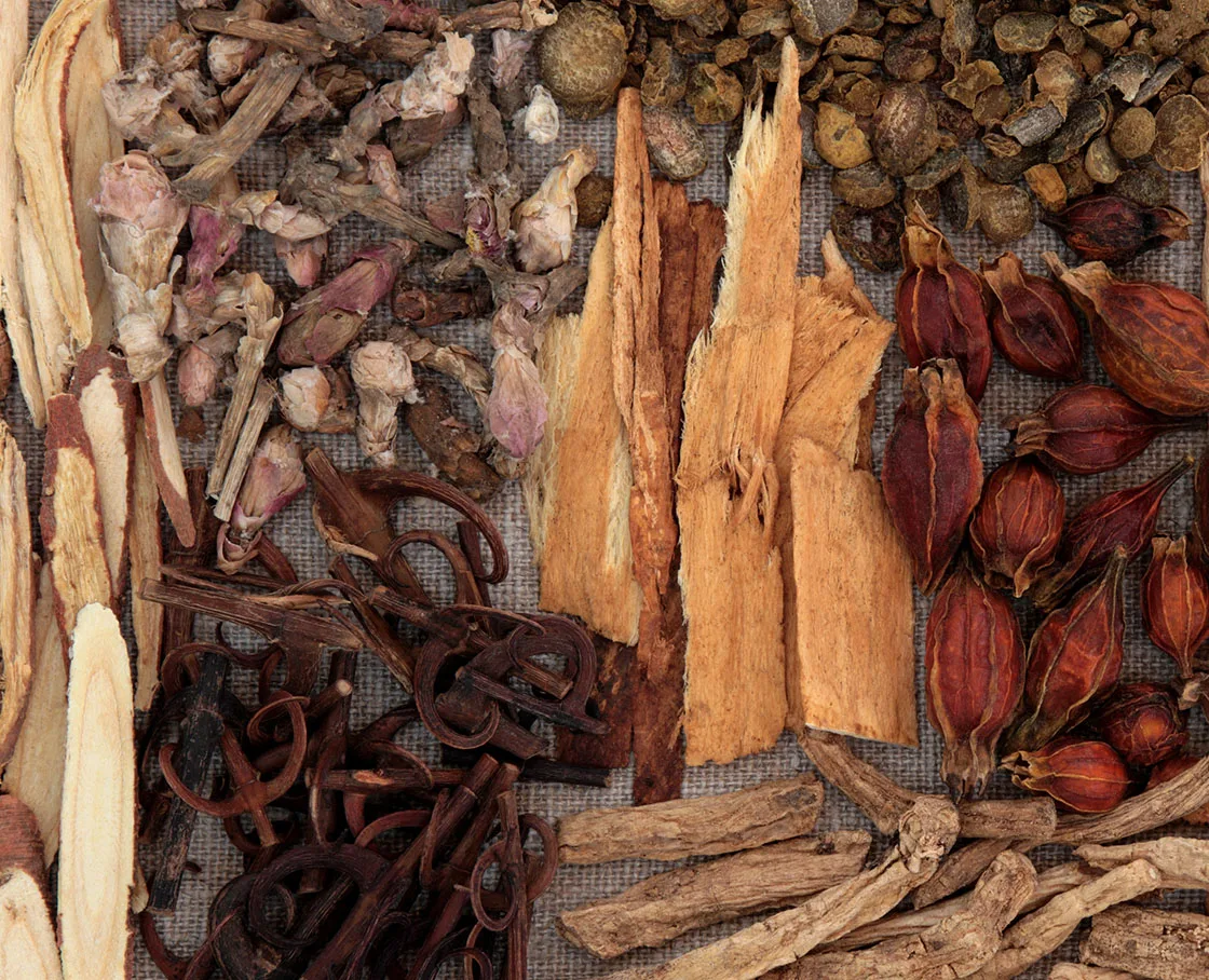 chinese herbal medicine