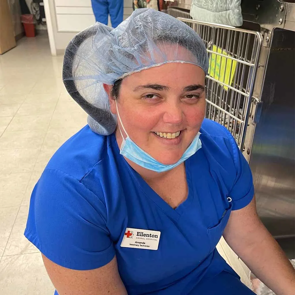 Our Veterinary Team