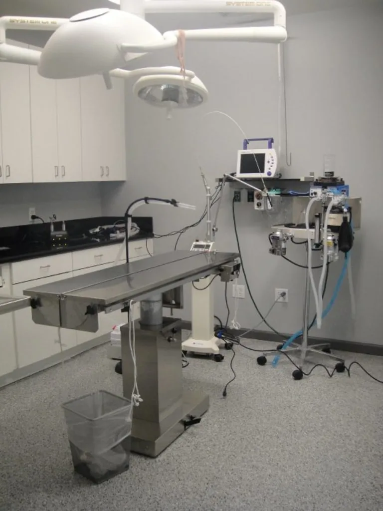 Veterinary Technology