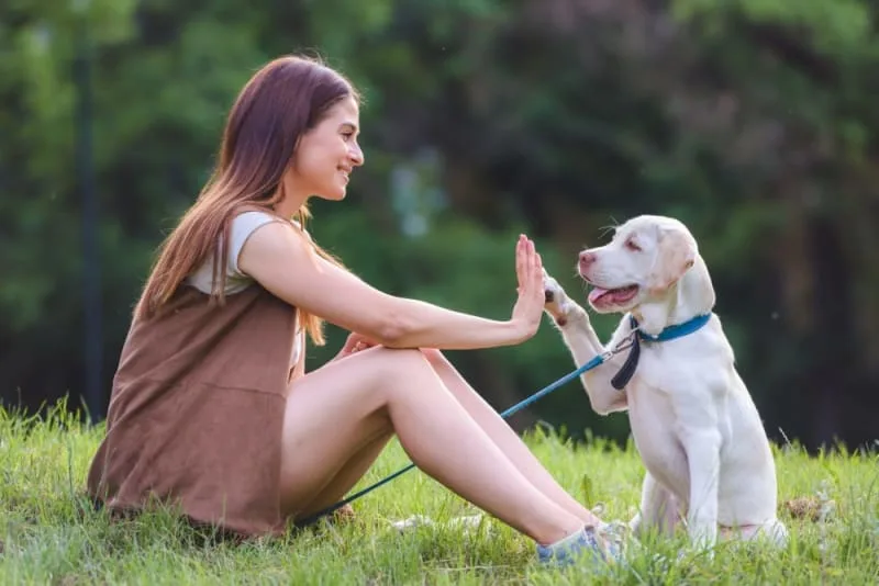 How to Raise a Puppy: Guide for the First Year