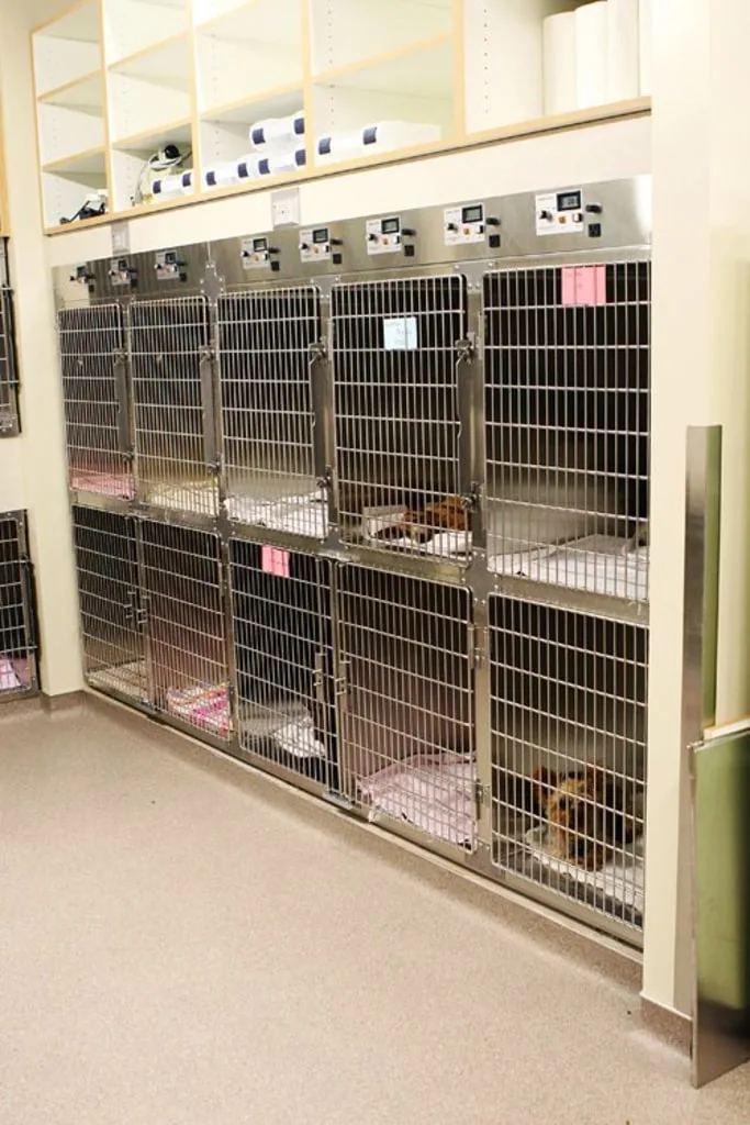 Pet housing and resting areas