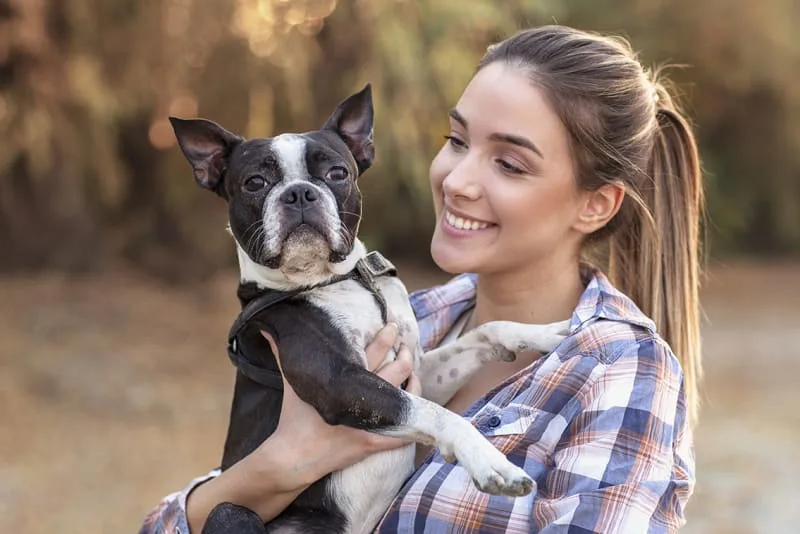 What Vet Services Do Pet Insurance And Pet Wellness Plans Cover?