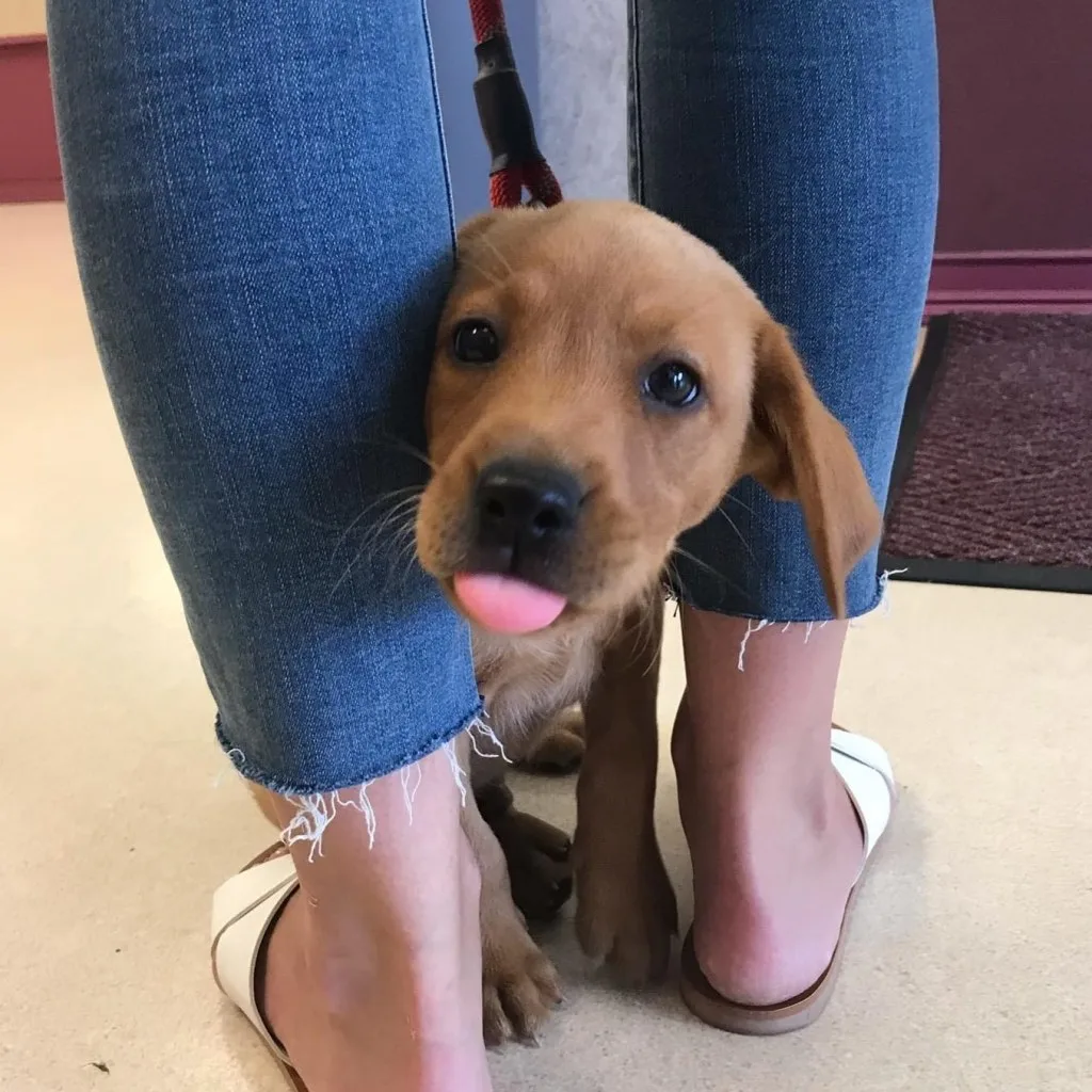 Our Patients