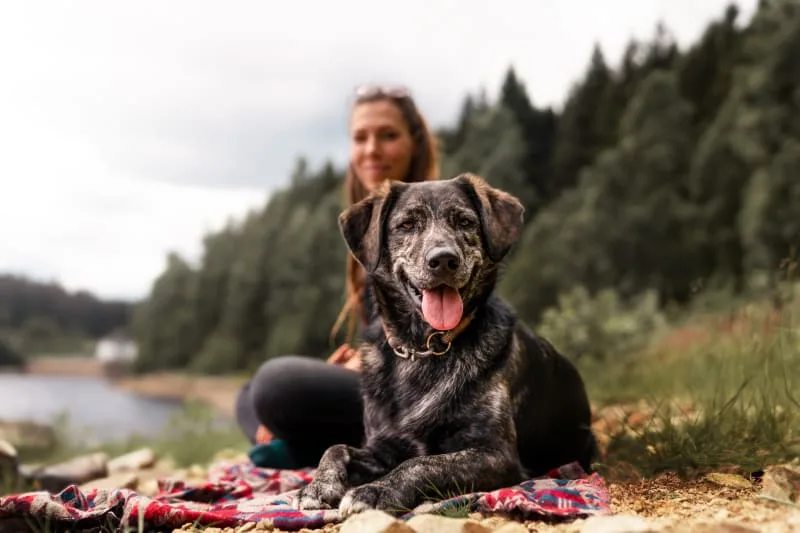 What is leptospirosis?