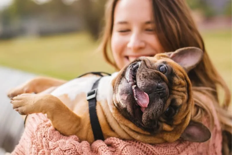 Costs of Owning a Dog