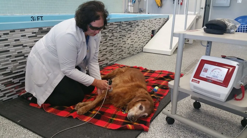 Our Patients