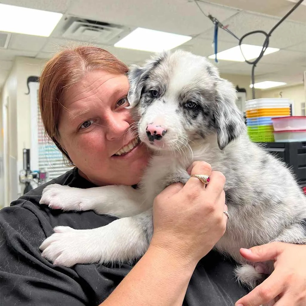 Our Veterinary Team