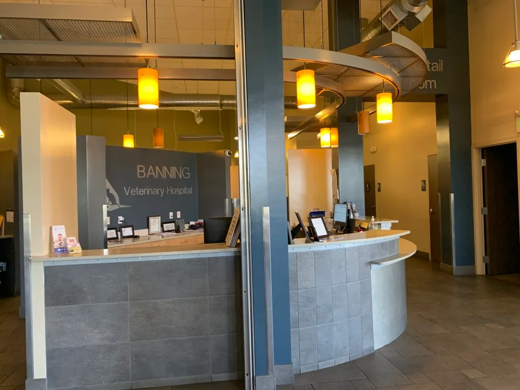 Main Reception Desk