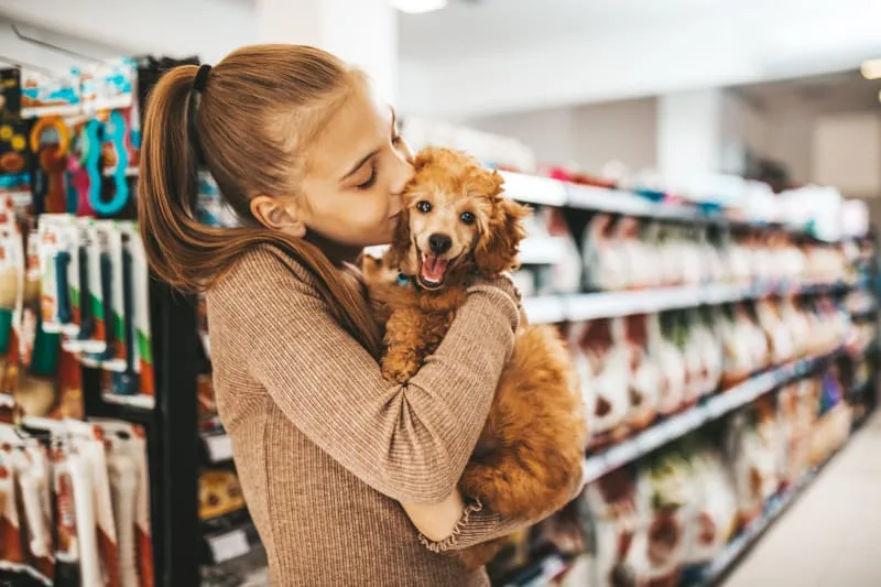 The True Cost of Owning a Dog