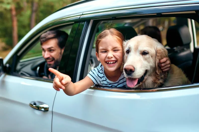 What Are The Best Dog Breed for Kids