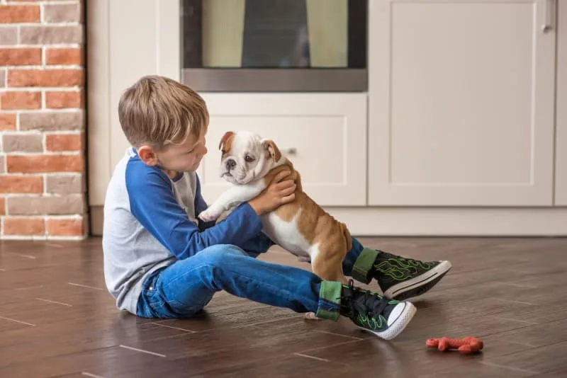 Best Dog Breeds for Families
