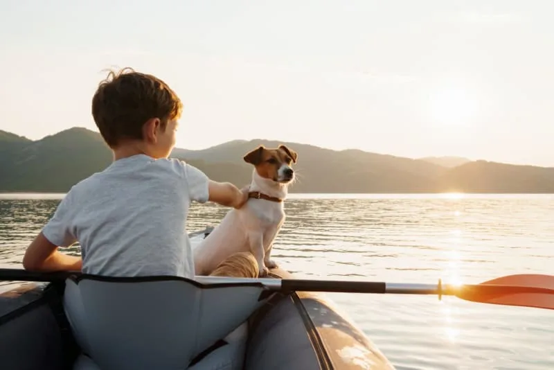 Best Family Dogs