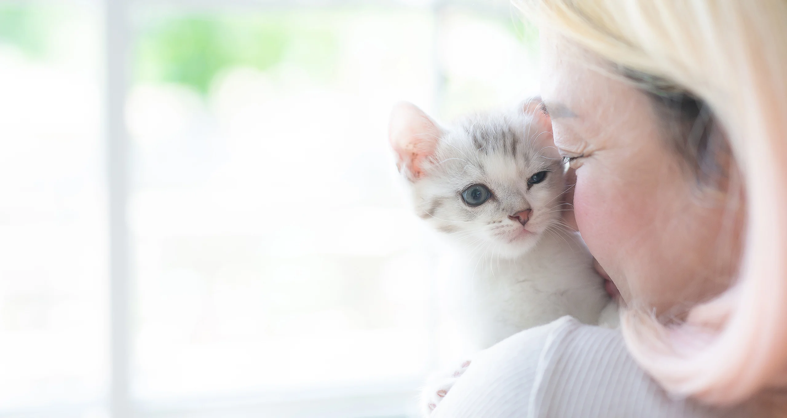 h older woman holding kitten over her shoulder near window