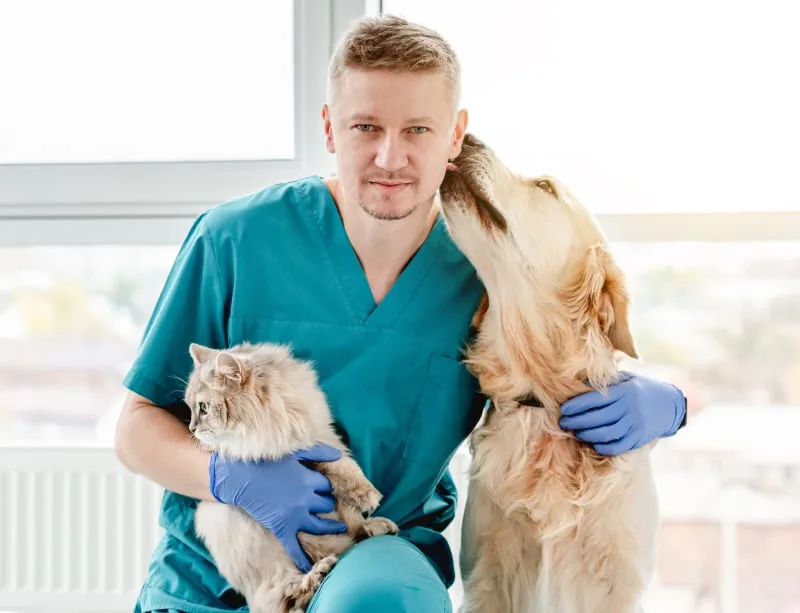 What to Expect at Your Pet's Routine Wellness Exam