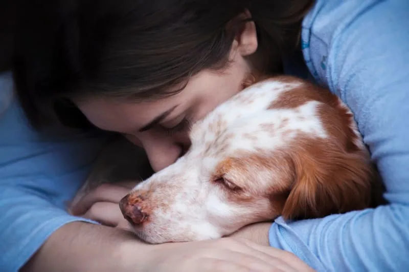 Chronic Pain Conditions in Dogs