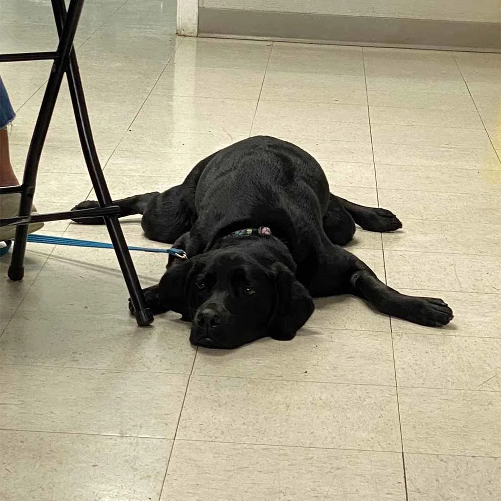 Our Patients