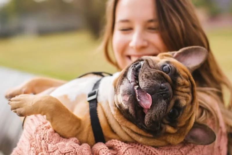 Nutrition, Skin & Dogs