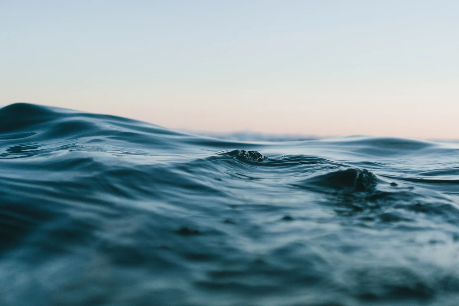 Ocean Fertilisation: Stirring up the Seas to Capture Carbon