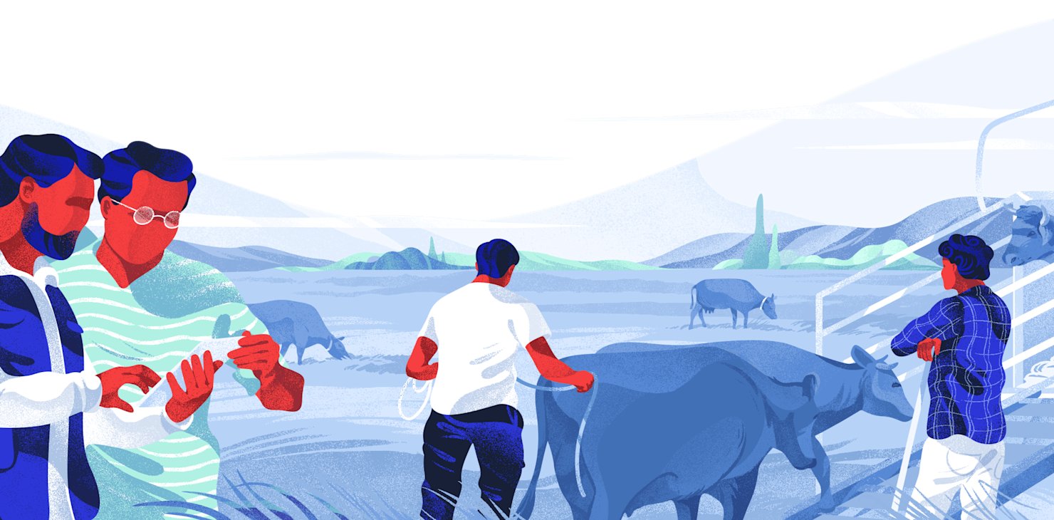Header Image