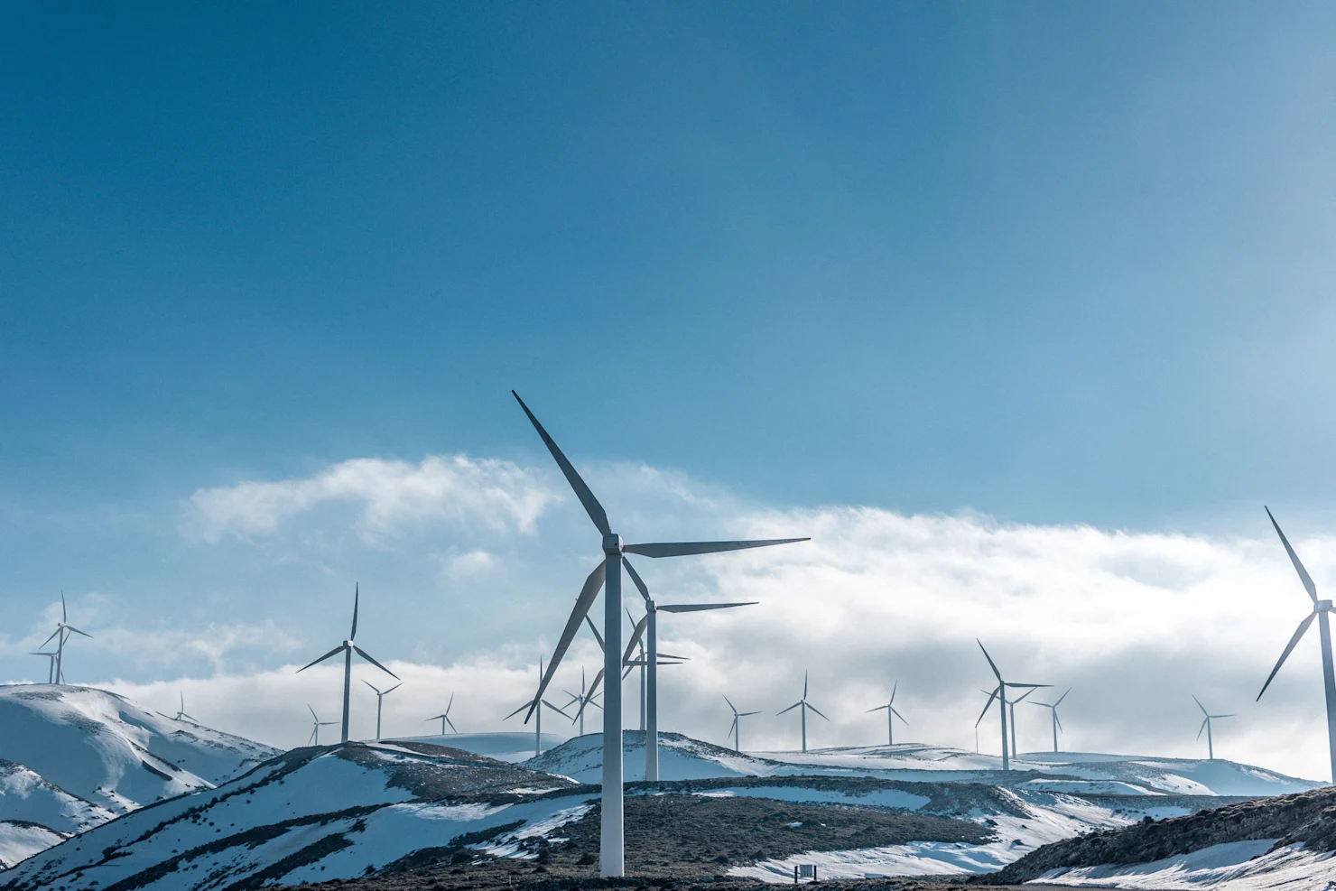 Innovating to Net Zero