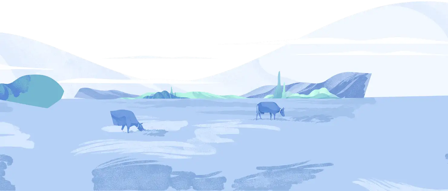 Cows being transported on a farm