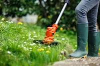article image for Can you cut grass with a weed whacker?