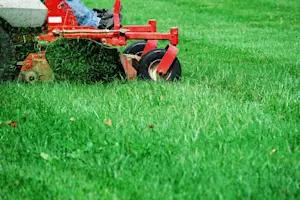 MERCH-mower-blades
