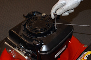 Remove the fuel tank.