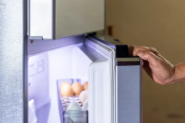 sears parts direct image for How to replace a door gasket in a top-freezer refrigerator