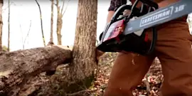 How to cut trees, limbs and branches with a chainsaw