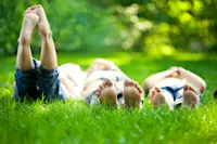 article image for 6 weeks to a better lawn