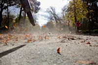 article image for Preparing a leaf blower for long-term storage