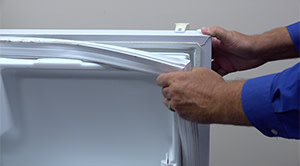 Introduction image for replacing a refrigerator door gasket repair guide.
