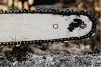 article image for When to replace a chainsaw bar