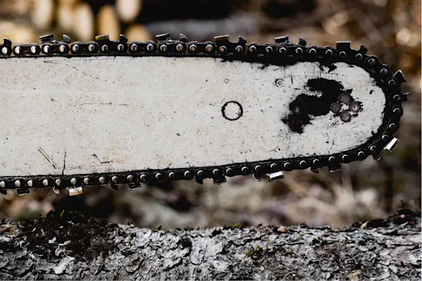 sears parts direct image for When to replace a chainsaw bar