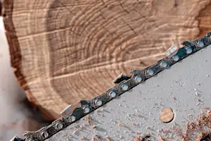 MERCH-chainsaw-chains