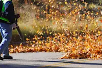 article image for 6 easy steps for maintaining a leaf blower