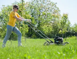 Types of walk-behind mower blades video