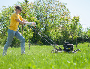 From standard to specialty blades, there are many options when it comes to blades for your walk-behind lawn mower.