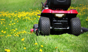 Learn about the different types of riding mower blades