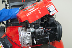 Remove the blower housing.