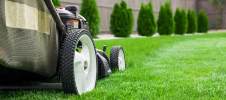 Lawn care