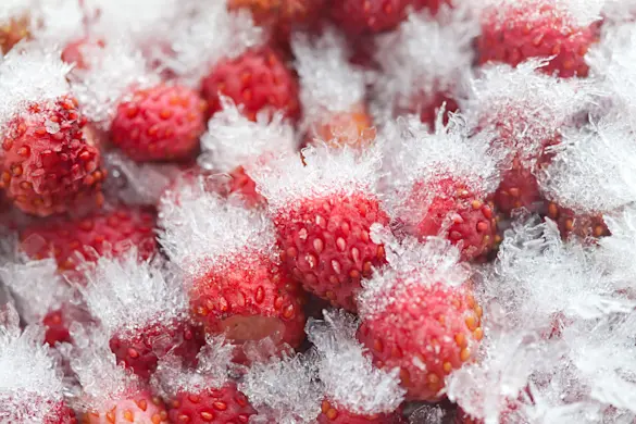 7 tips to prevent freezer burn