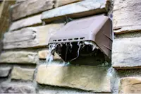 article image for How to get a bird out of a dryer vent in 5 steps