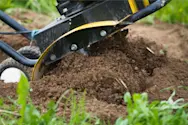 article image for Fall garden care: to till or not to till? Here’s how to decide